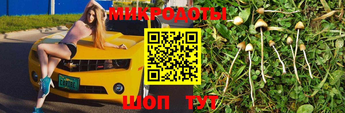 Галлюциногенные грибы GOLDEN TEACHER Подольск