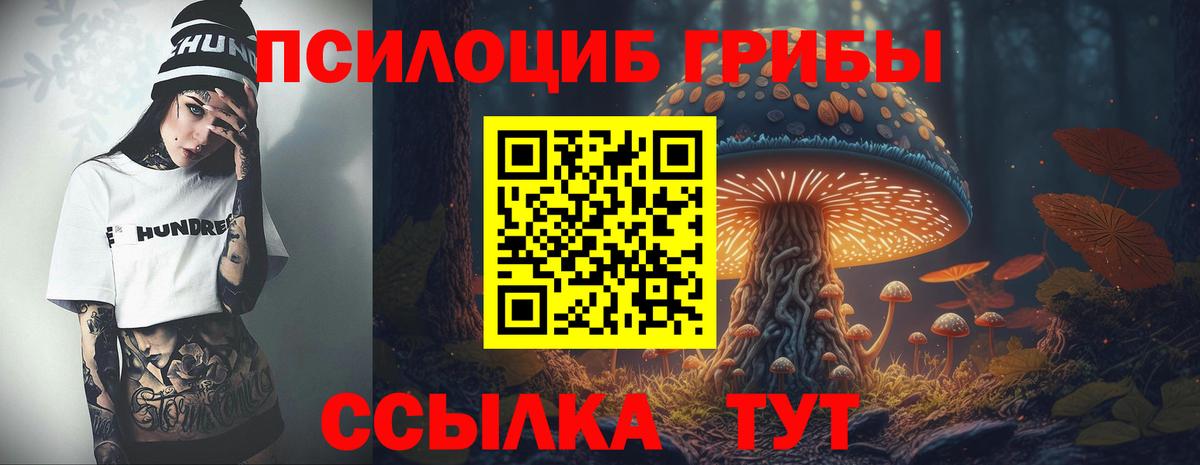 Подольск  Псилоцибиновые грибы Cubensis  Вход с VPN 